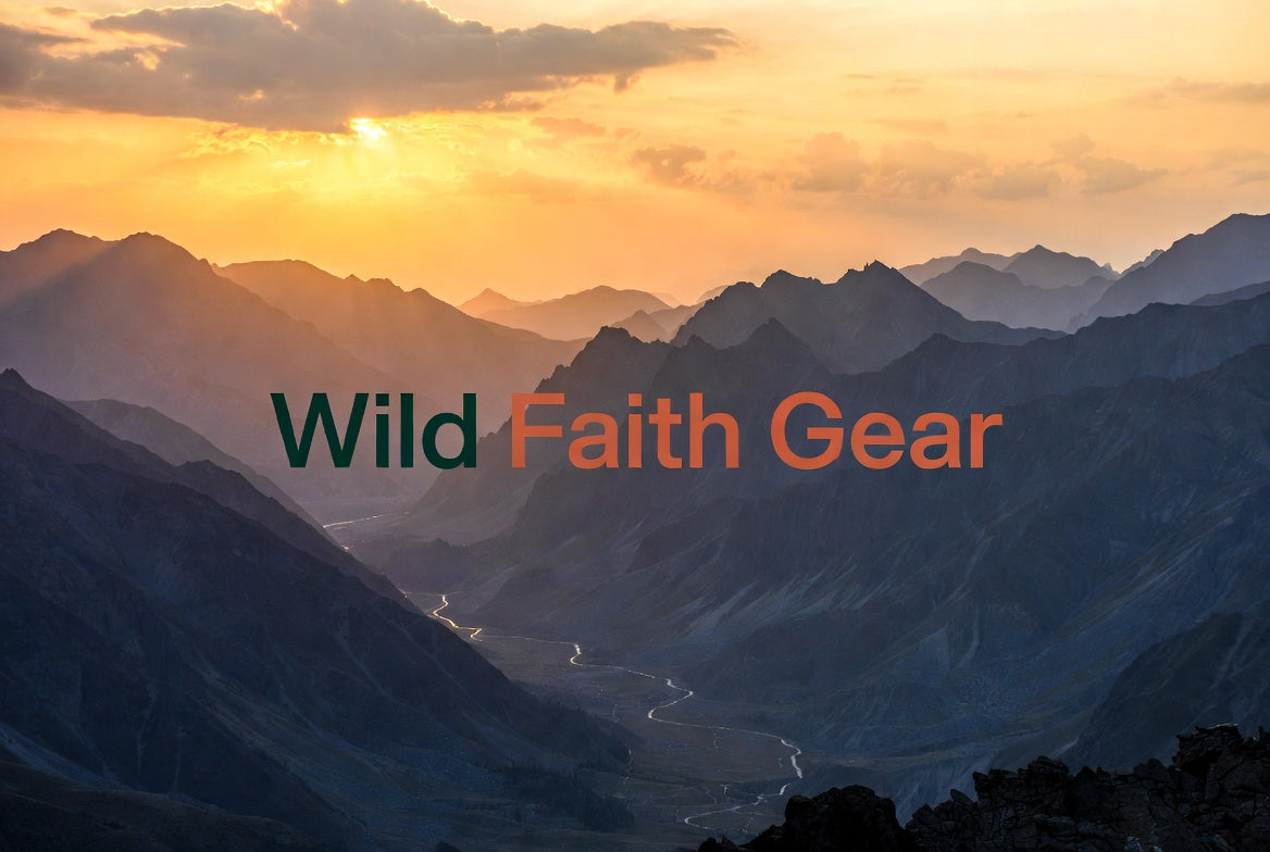 Wild Faith Business — AI-Powered POD Store Guide